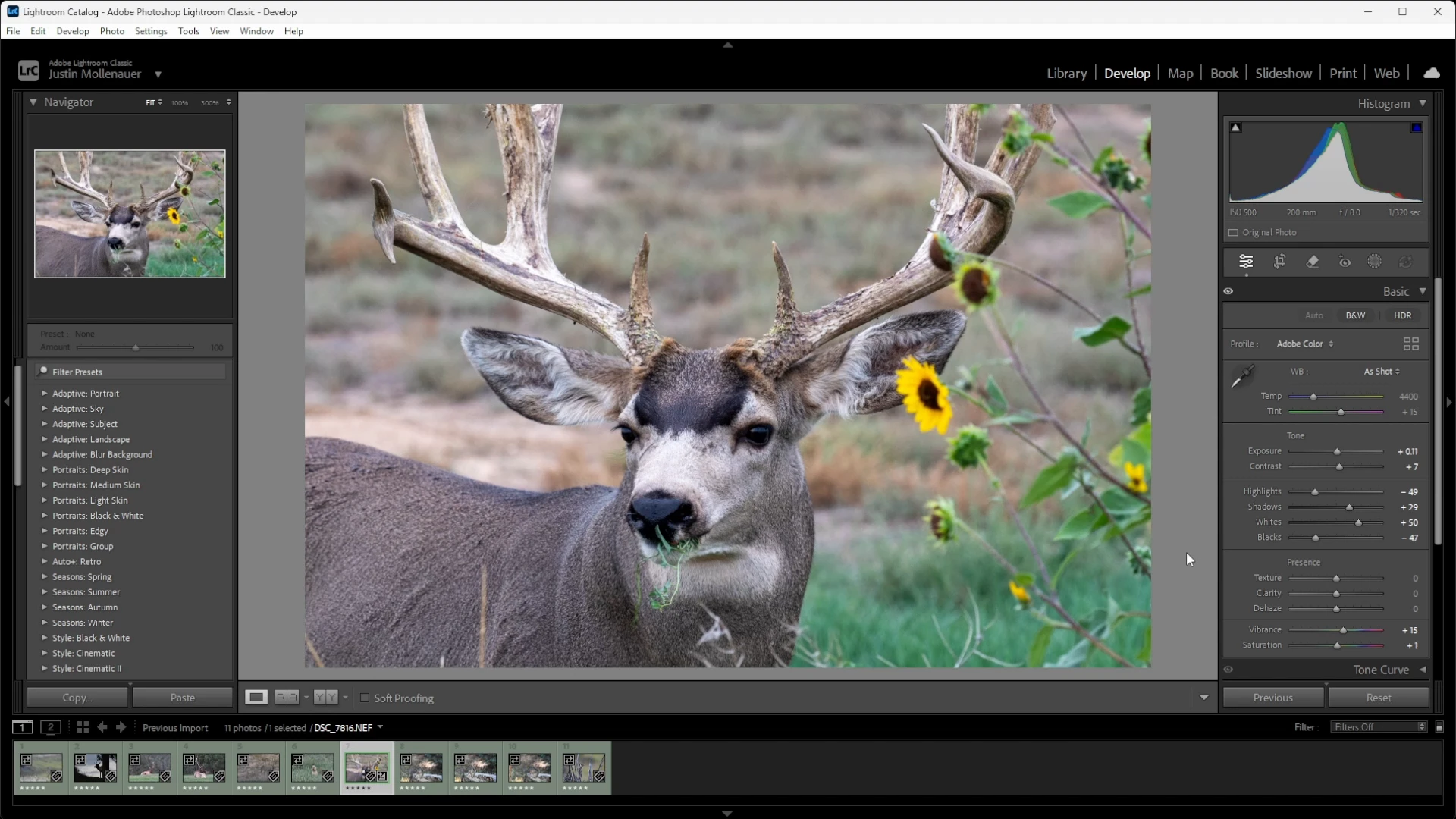 A mule deer keeper open in Lightroom Classic's Develop module