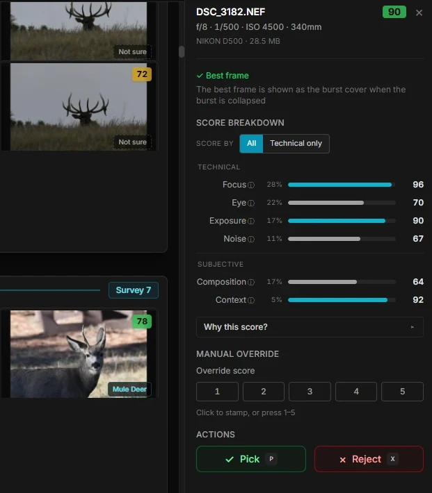 Scored elk and deer thumbnails beside the score breakdown for the selected frame, DSC_3182.NEF, scored 90
