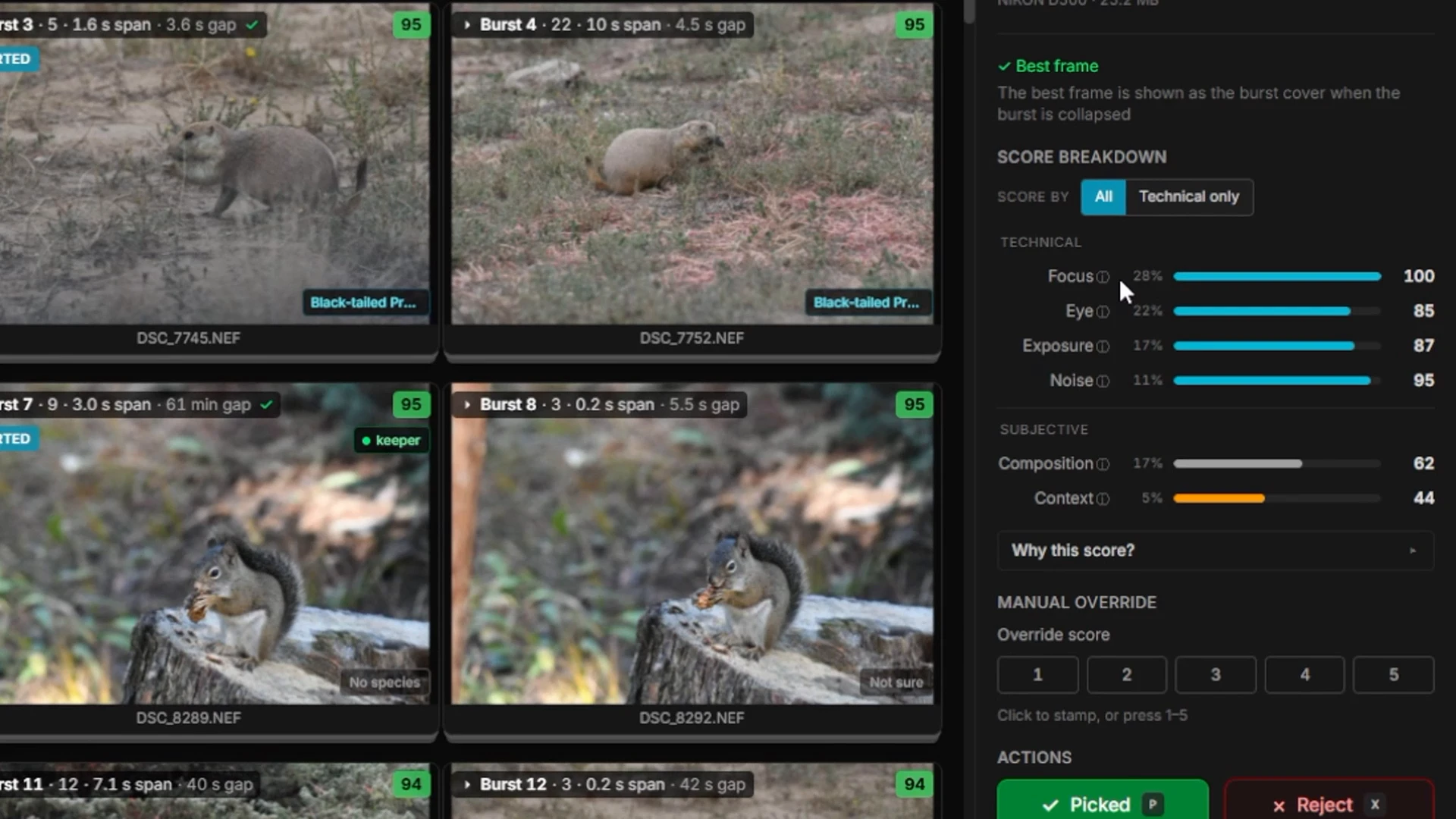 Score breakdown panel for a prairie dog frame: Focus 100, Eye 85, Exposure 87, Noise 95, Composition 62, Context 44, with each criterion's weight