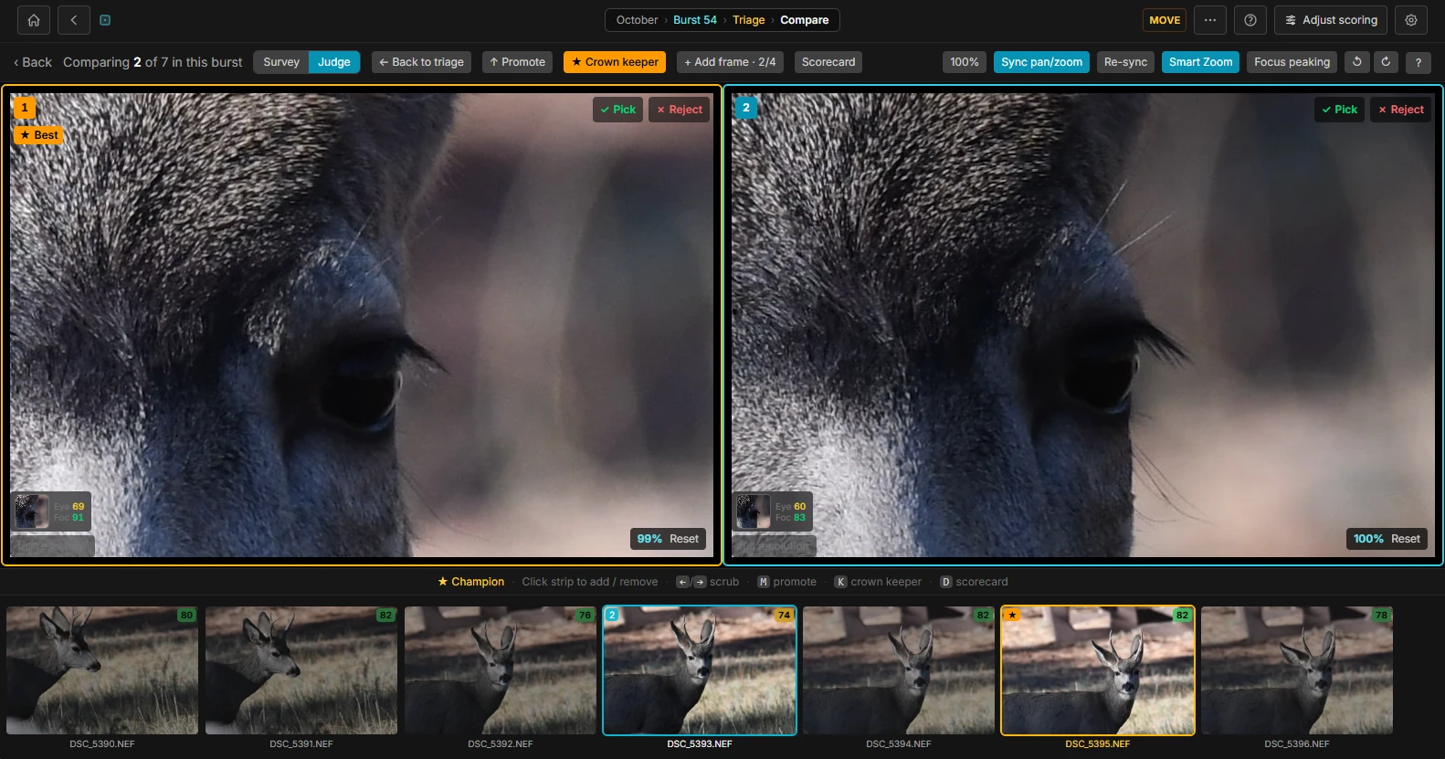 Two contenders from the seven-frame deer burst compared at eye detail