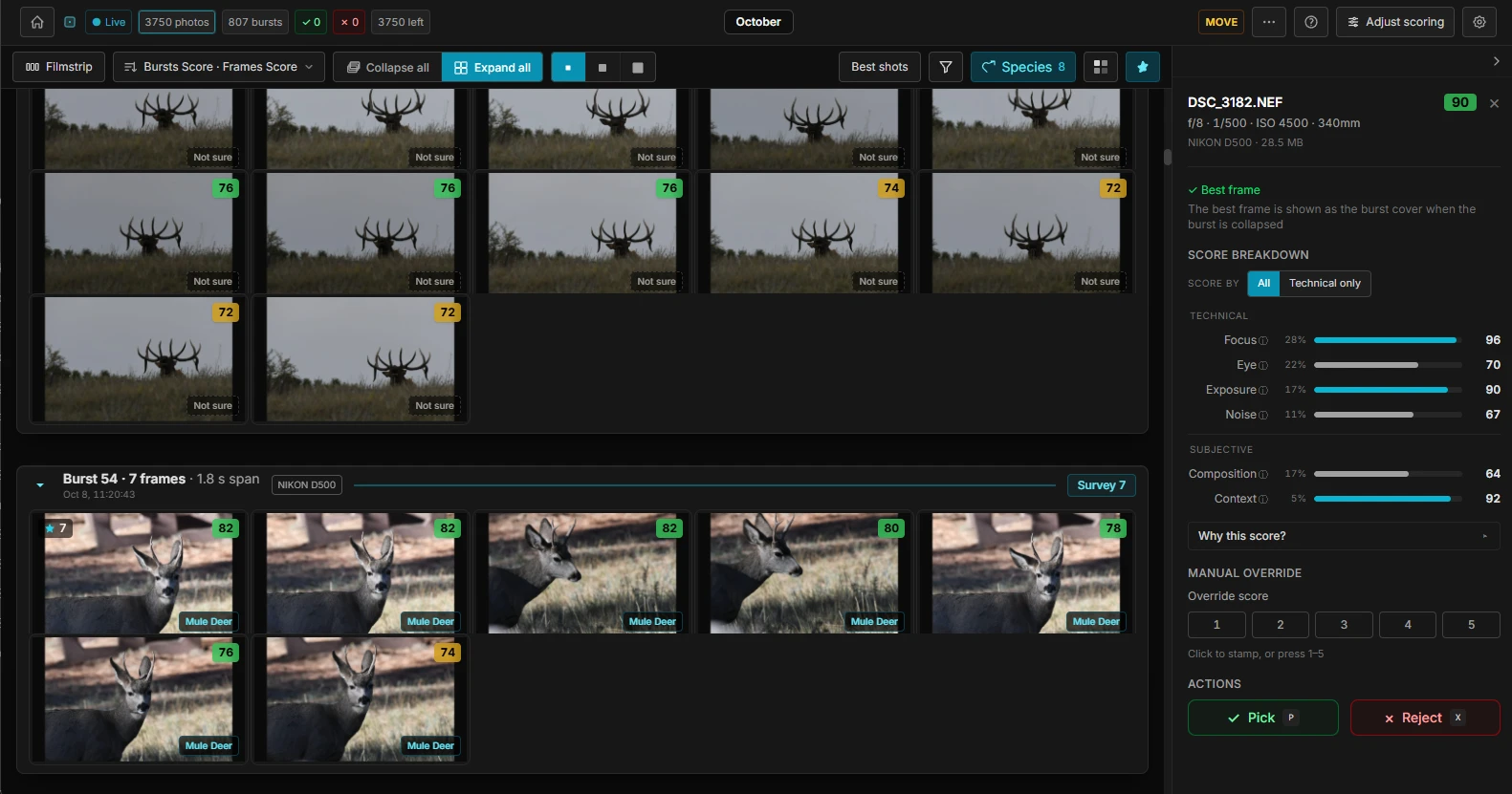 October session with 3,750 photos, 807 bursts, and a seven-frame deer burst