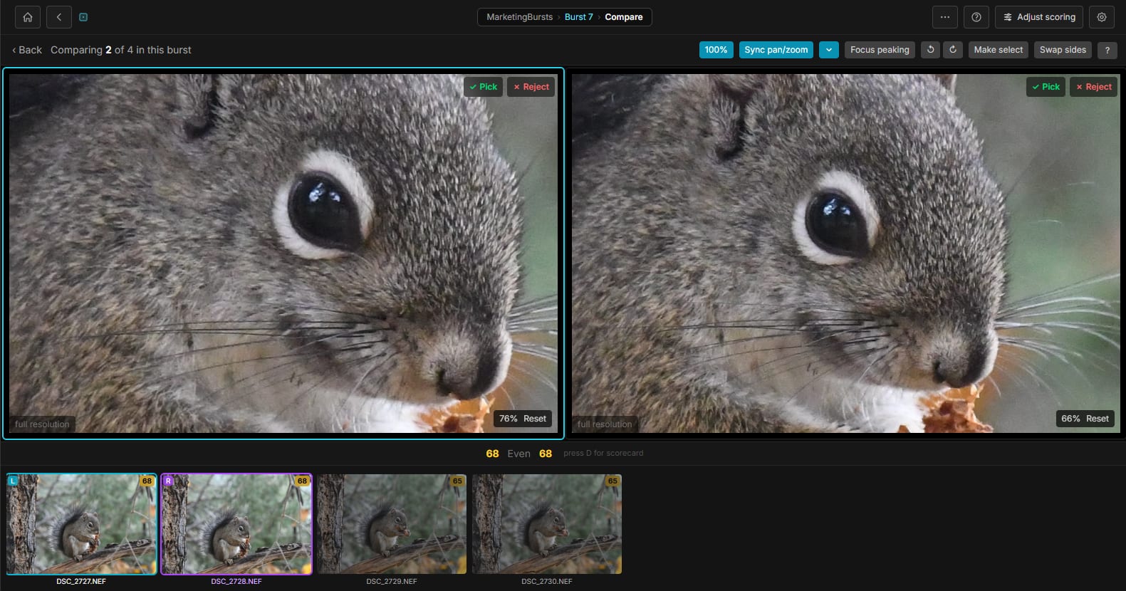 Smart Zoom — BurstPick